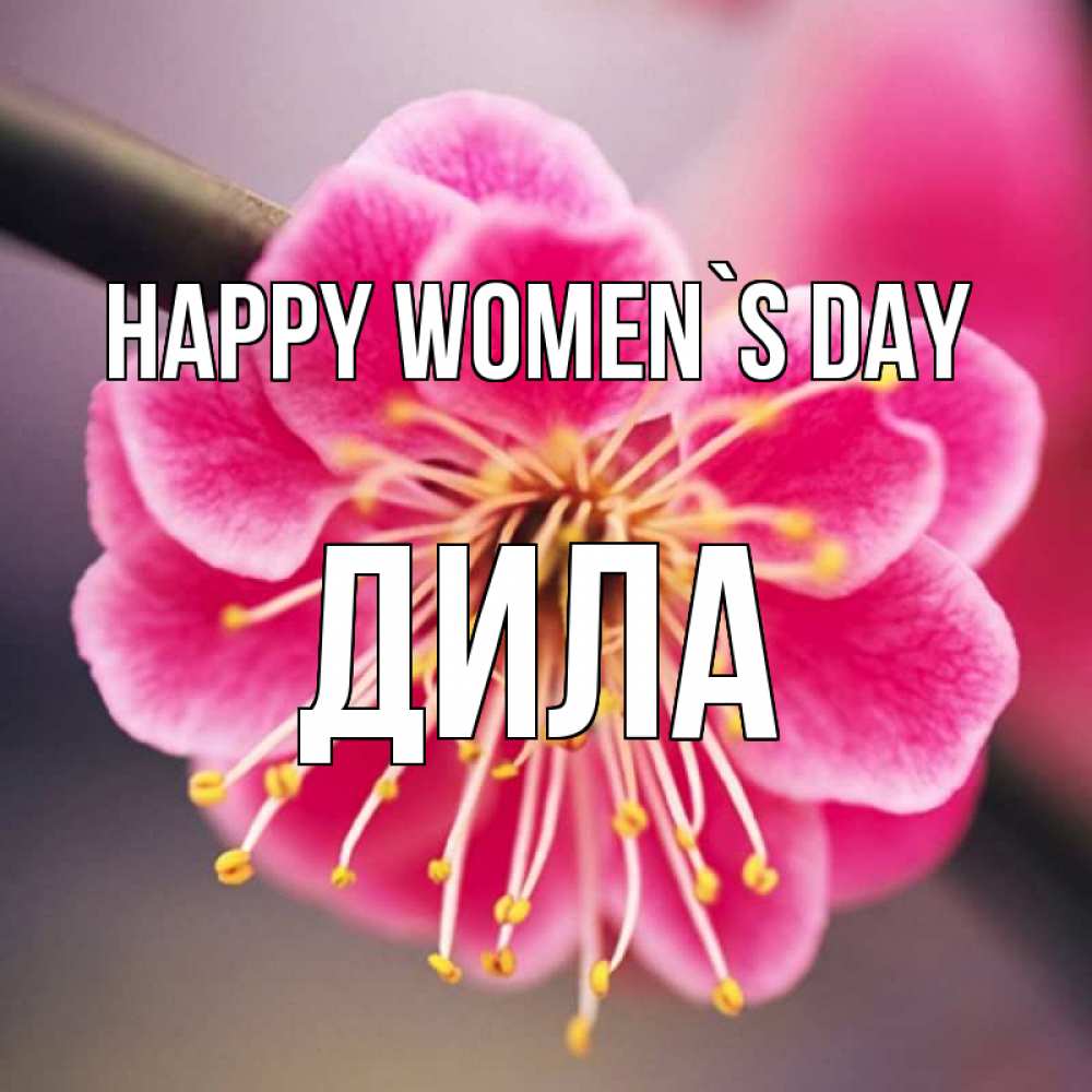 Greetings card с именем, ДИЛА happy women`s day цветы Greetings with text for free download 